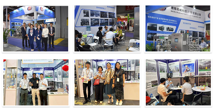 Выставка Вэйшу